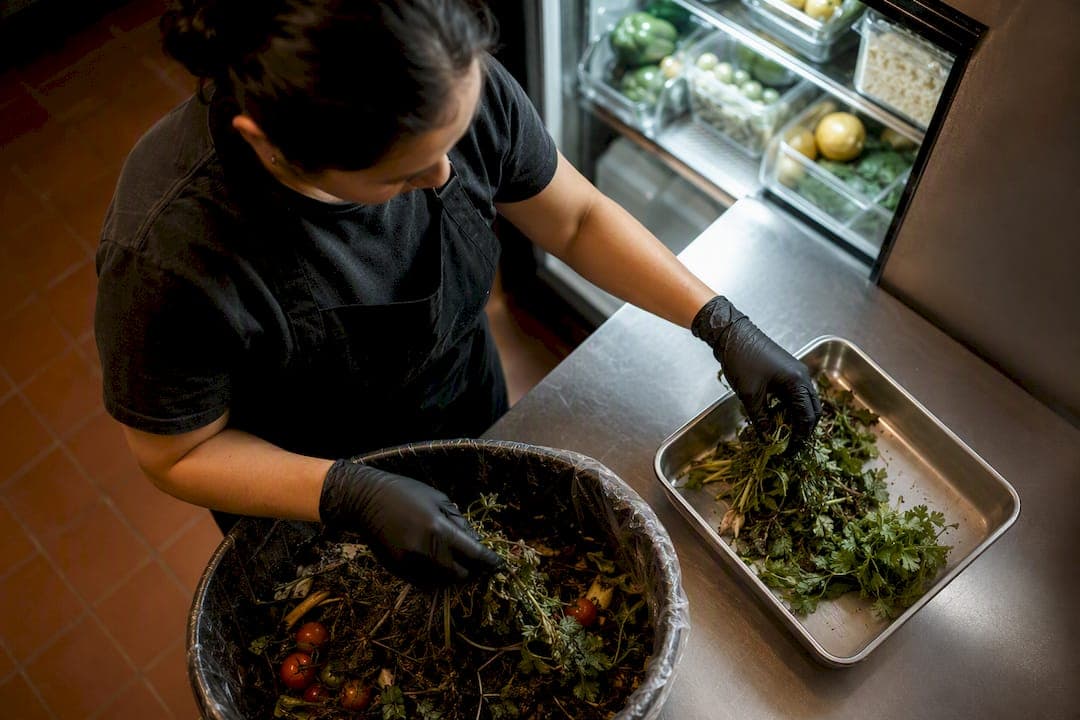 Worker sorting spoiled restaurant produce